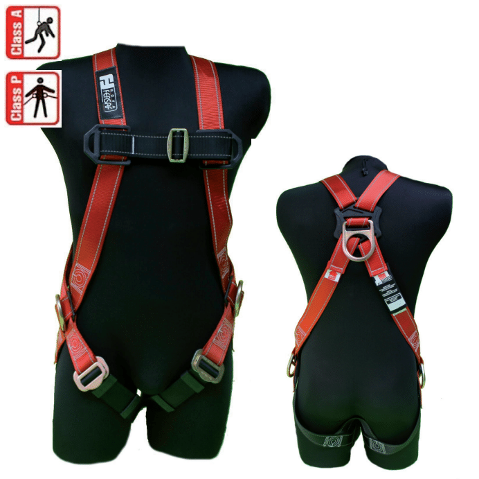 ARNES DE SEGURIDAD 3 ARGOLLAS STD
